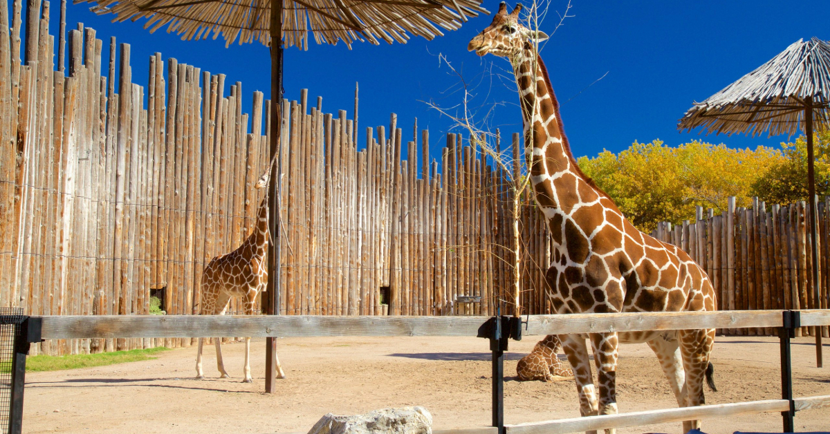 ABQ Bio Park Zoo